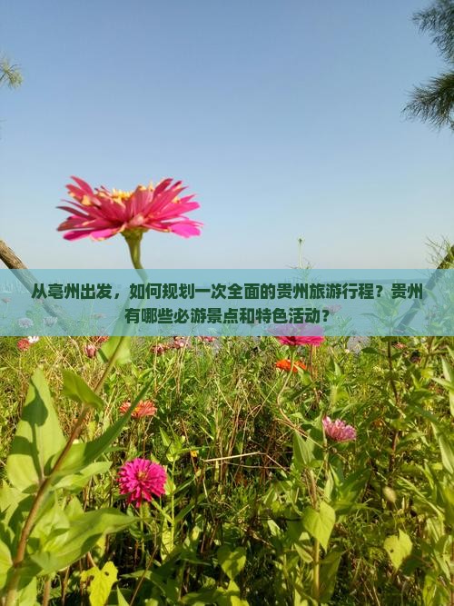 从亳州出发，如何规划一次全面的贵州旅游行程？贵州有哪些必游景点和特色活动？