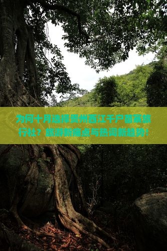 为何十月选择贵州西江千户苗寨旅行社？旅游新痛点与热词新趋势！
