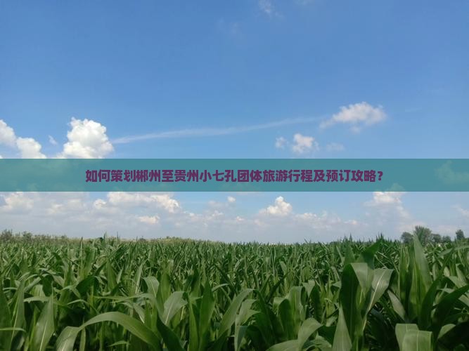 如何策划郴州至贵州小七孔团体旅游行程及预订攻略？