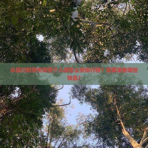从银川到贵州贵阳个人游怎么安排行程？需要准备哪些物品？
