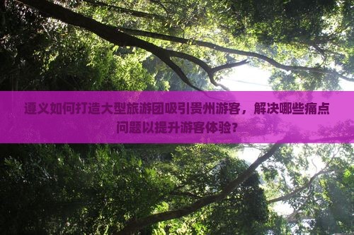 遵义如何打造大型旅游团吸引贵州游客，解决哪些痛点问题以提升游客体验？