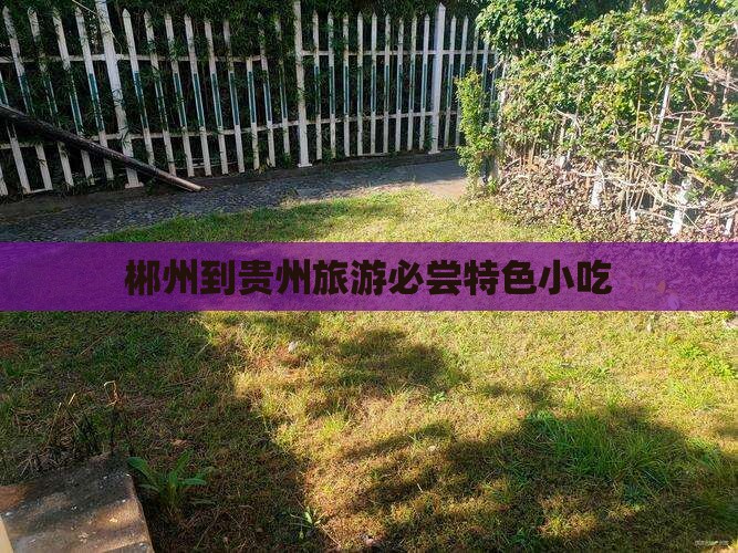 郴州到贵州旅游必尝特色小吃