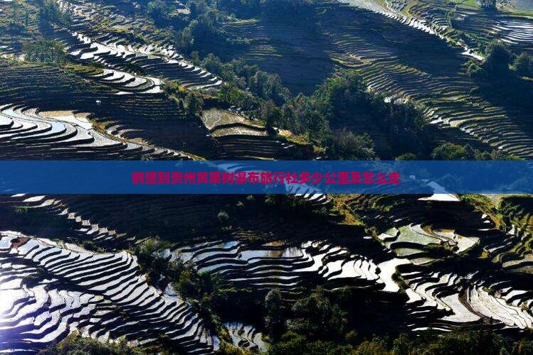 鹤壁到贵州黄果树瀑布旅行社多少公里及怎么走