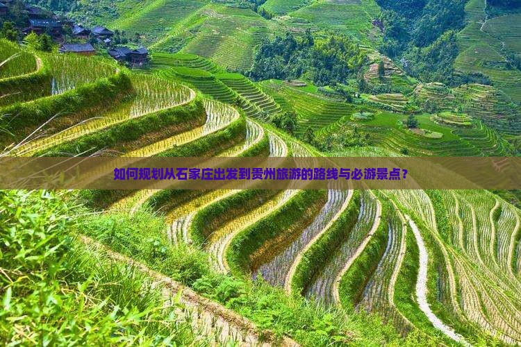 如何规划从石家庄出发到贵州旅游的路线与必游景点？