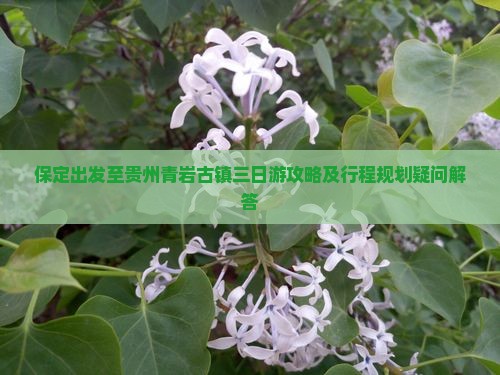 保定出发至贵州青岩古镇三日游攻略及行程规划疑问解答