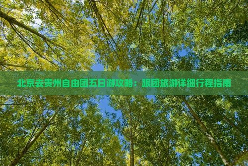 北京去贵州自由团五日游攻略：跟团旅游详细行程指南