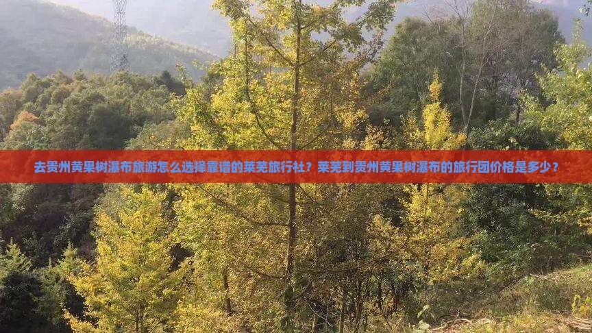去贵州黄果树瀑布旅游怎么选择靠谱的莱芜旅行社？莱芜到贵州黄果树瀑布的旅行团价格是多少？