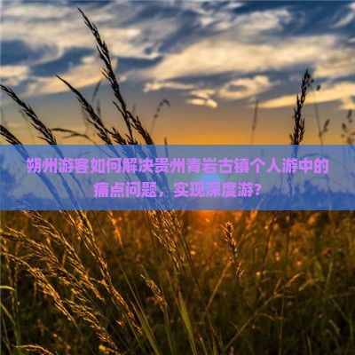 朔州游客如何解决贵州青岩古镇个人游中的痛点问题，实现深度游？