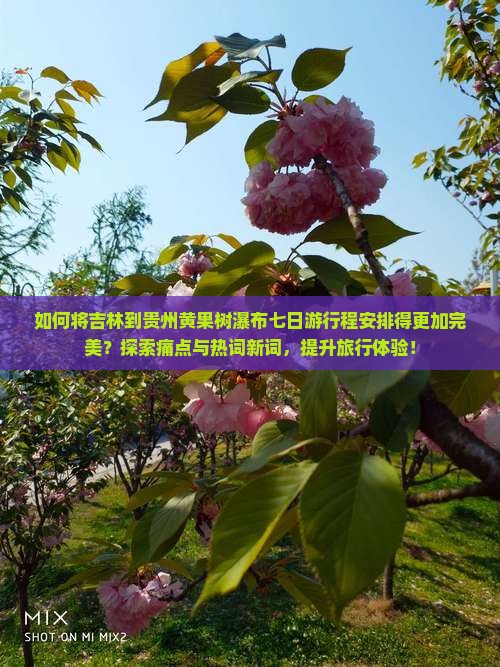 如何将吉林到贵州黄果树瀑布七日游行程安排得更加完美？探索痛点与热词新词，提升旅行体验！