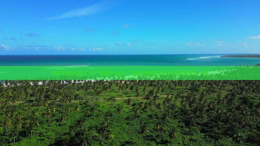 海东到贵州西江千户苗寨必去地：探寻神秘苗文化之旅精华景点一览