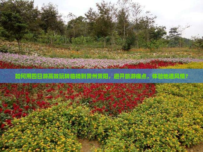 如何用四日游高效玩转临猗到贵州贵阳，避开旅游痛点，体验地道风情？