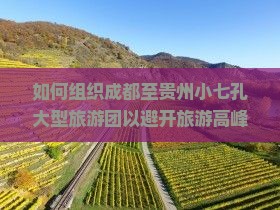如何组织成都至贵州小七孔大型旅游团以避开旅游高峰期和确保游客体验？