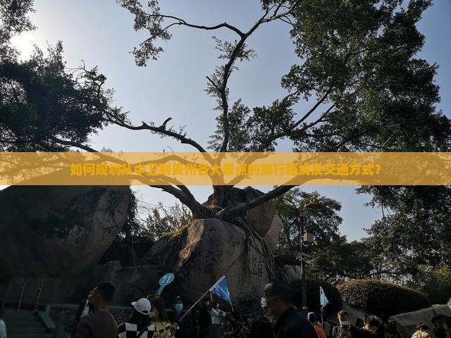 如何规划从中卫到贵州各大景点的旅行路线及交通方式？