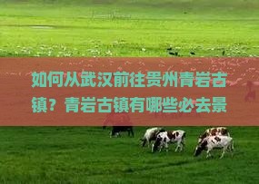如何从武汉前往贵州青岩古镇？青岩古镇有哪些必去景点与特色美食？
