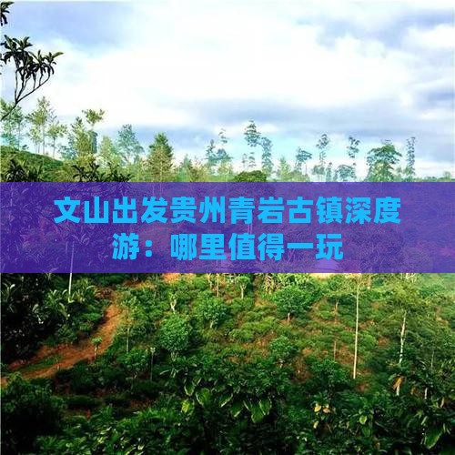 文山出发贵州青岩古镇深度游：哪里值得一玩