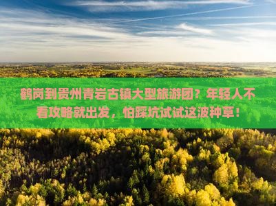 鹤岗到贵州青岩古镇大型旅游团？年轻人不看攻略就出发，怕踩坑试试这波种草！