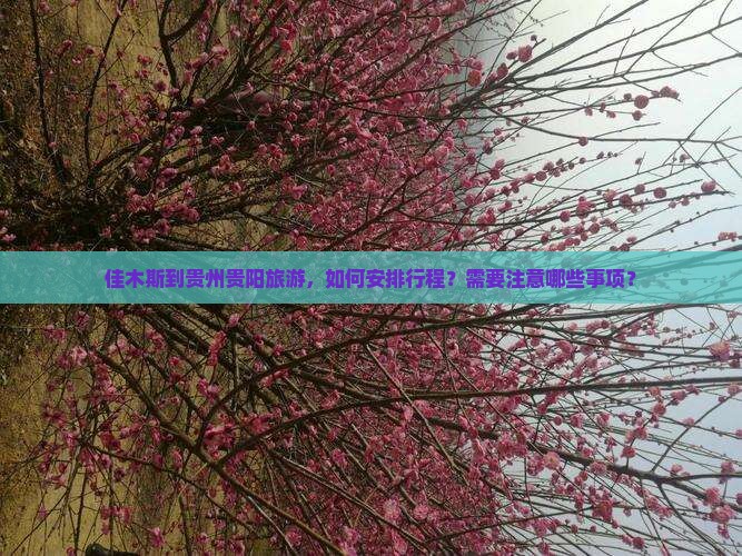 佳木斯到贵州贵阳旅游，如何安排行程？需要注意哪些事项？
