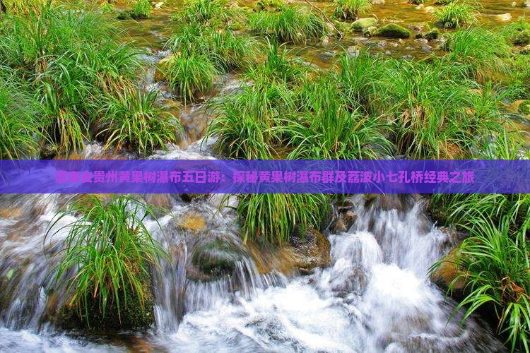 渭南去贵州黄果树瀑布五日游：探秘黄果树瀑布群及荔波小七孔桥经典之旅