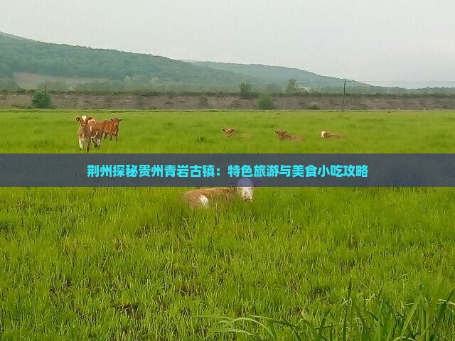 荆州探秘贵州青岩古镇：特色旅游与美食小吃攻略