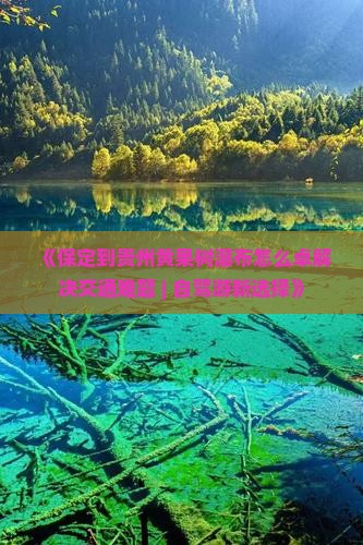 《保定到贵州黄果树瀑布怎么卓解决交通难题 | 自驾游新选择》