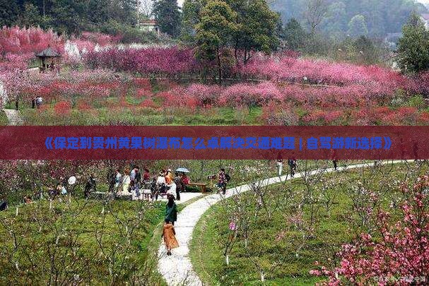 《保定到贵州黄果树瀑布怎么卓解决交通难题 | 自驾游新选择》