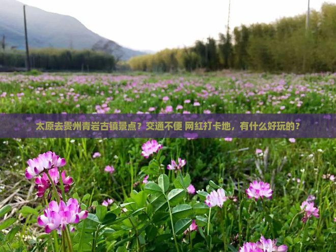 太原去贵州青岩古镇景点？交通不便+网红打卡地，有什么好玩的？