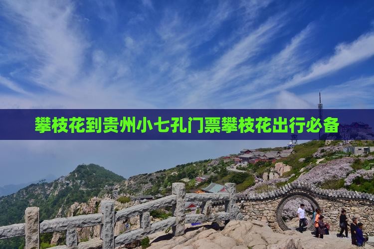 攀枝花到贵州小七孔门票攀枝花出行必备