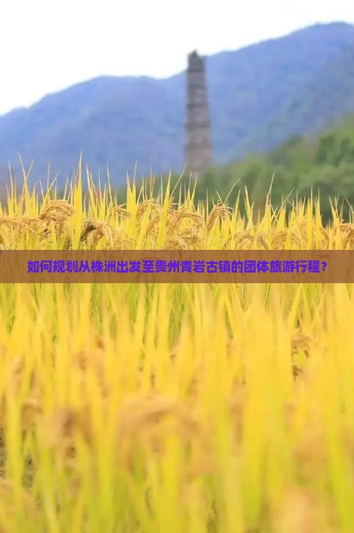 如何规划从株洲出发至贵州青岩古镇的团体旅游行程？