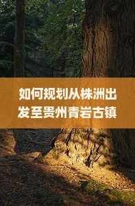 如何规划从株洲出发至贵州青岩古镇的团体旅游行程？