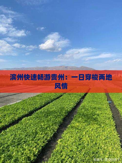 滨州快速畅游贵州：一日穿梭两地风情