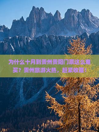 为什么十月到贵州贵阳门票这么难买？贵州旅游火热，赶紧收藏！
