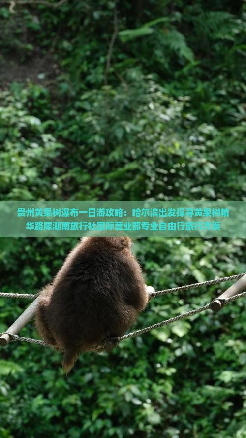 贵州黄果树瀑布一日游攻略：哈尔滨出发探寻黄果树精华路犀湖南旅行社国际营业部专业自由行旅行方案