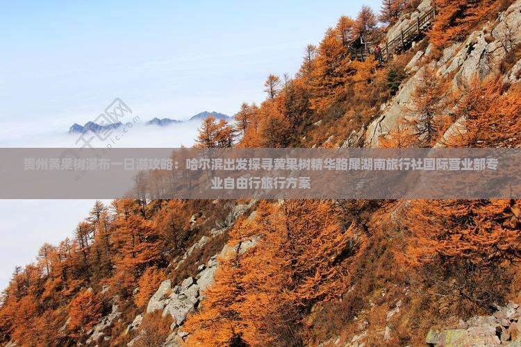 贵州黄果树瀑布一日游攻略：哈尔滨出发探寻黄果树精华路犀湖南旅行社国际营业部专业自由行旅行方案