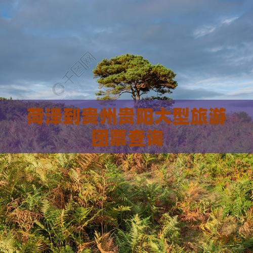 菏泽到贵州贵阳大型旅游团票查询