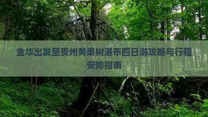 金华出发至贵州黄果树瀑布四日游攻略与行程安排指南