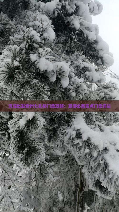 济源出发贵州七孔桥门票攻略：旅游必备景点门票详述