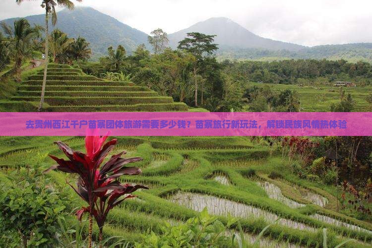 去贵州西江千户苗寨团体旅游需要多少钱？苗寨旅行新玩法，解锁民族风情热体验