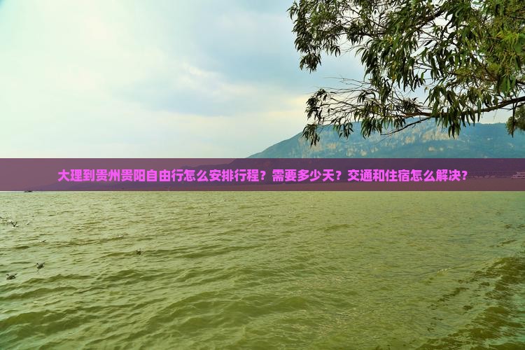 大理到贵州贵阳自由行怎么安排行程？需要多少天？交通和住宿怎么解决？