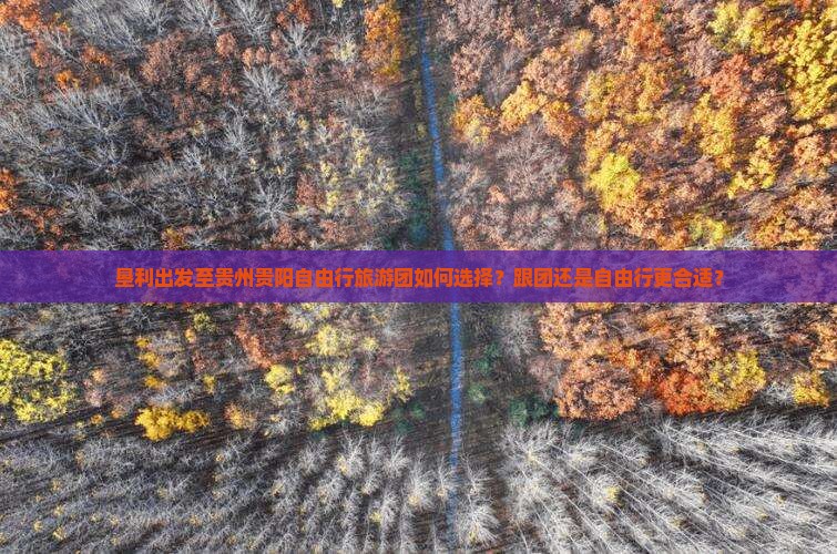 垦利出发至贵州贵阳自由行旅游团如何选择？跟团还是自由行更合适？