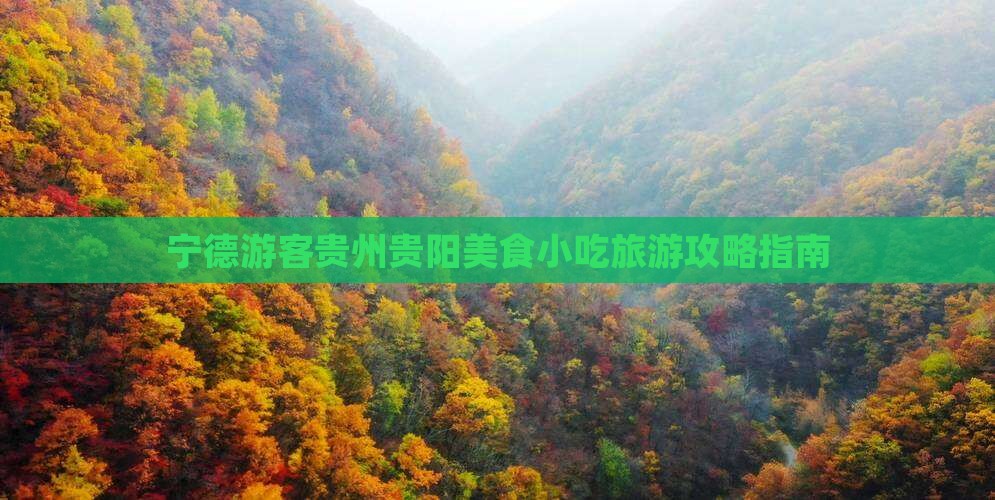 宁德游客贵州贵阳美食小吃旅游攻略指南