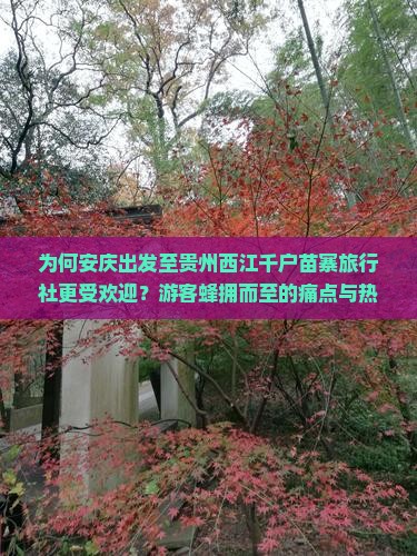 为何安庆出发至贵州西江千户苗寨旅行社更受欢迎？游客蜂拥而至的痛点与热词新词！
