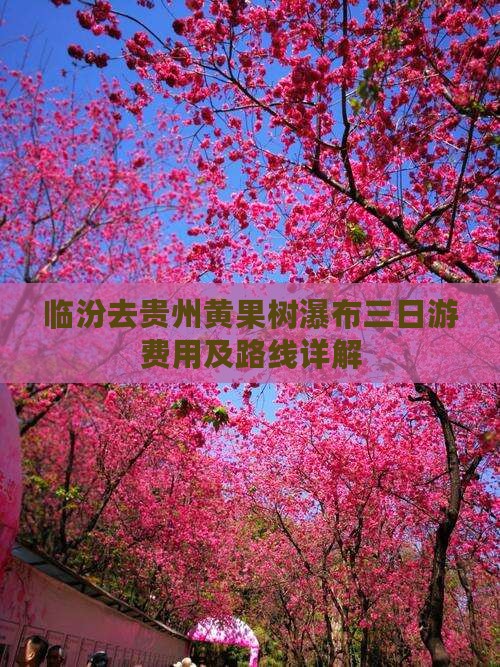 临汾去贵州黄果树瀑布三日游费用及路线详解