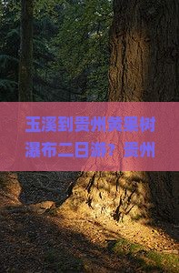 玉溪到贵州黄果树瀑布二日游？贵州黄果树瀑布旅游攻略、亲子游学好去处