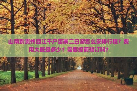 山南到贵州西江千户苗寨二日游怎么安排行程？费用大概是多少？需要提前预订吗？