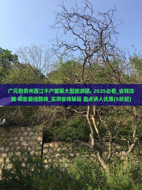 广元到贵州西江千户苗寨大型旅游团
