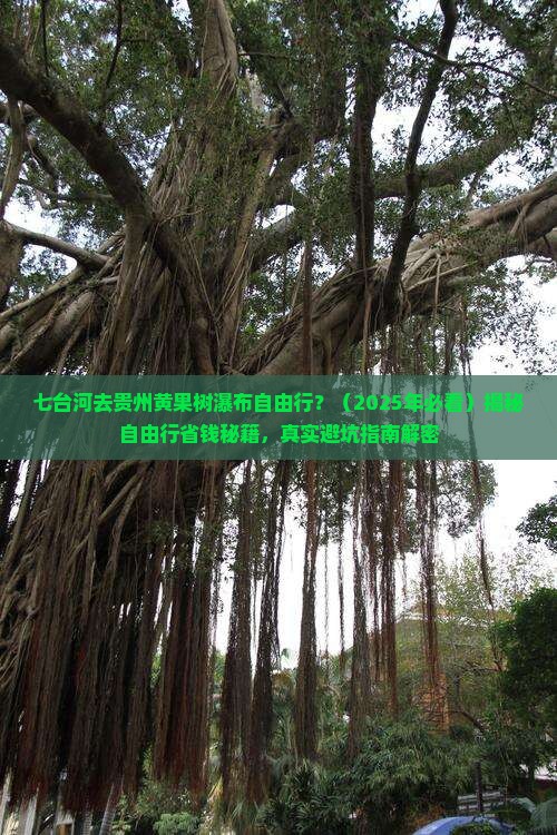 七台河去贵州黄果树瀑布自由行