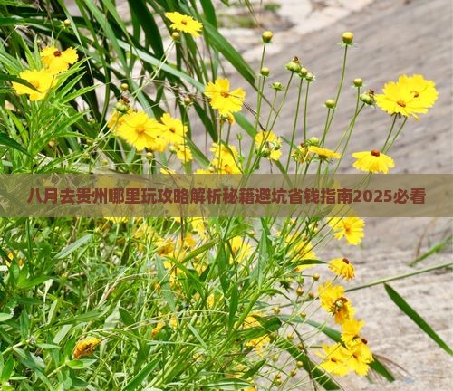 八月去贵州哪里玩 八月去贵州哪里玩