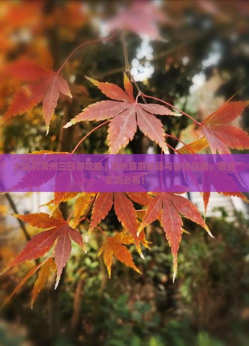 大连到贵州三日游