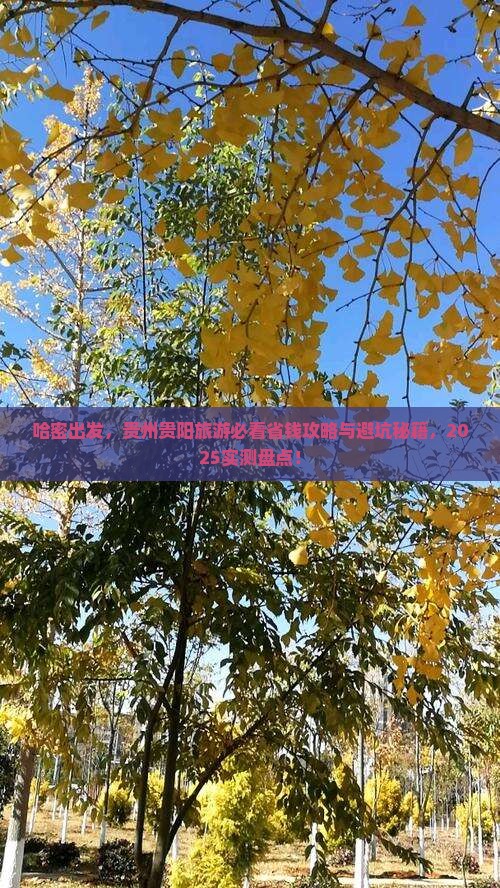 哈密去贵州贵阳旅游