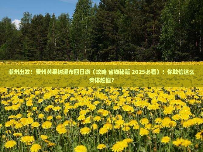 潮州去贵州黄果树瀑布四日游